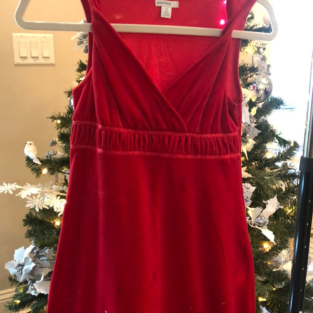 Velvet red dress